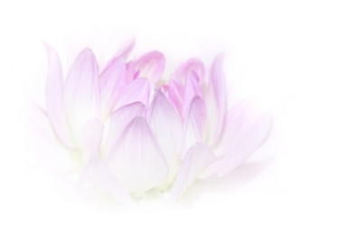 Similar image 1657382