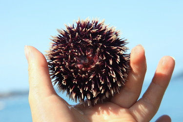 Similar image 1657383