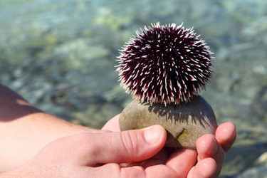 Similar image 1657384