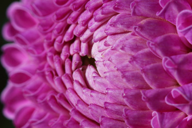 Similar image 1657385