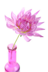 Similar image 1657390