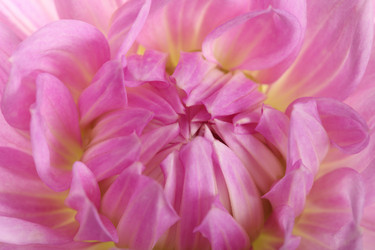 Similar image 1657391