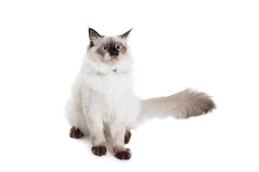 Similar image 1657395