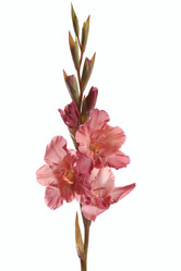 Similar image 1657397