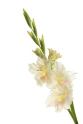 Similar image 1657398