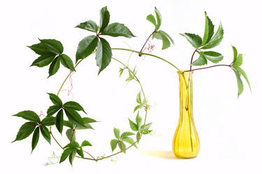 Similar image 1657400