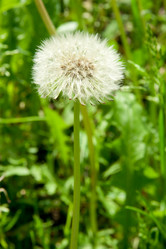 Similar image 1657502