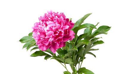 Similar image 1657509