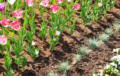 Similar image 1657512