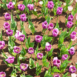 Similar image 1657515