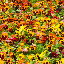 Similar image 1657519