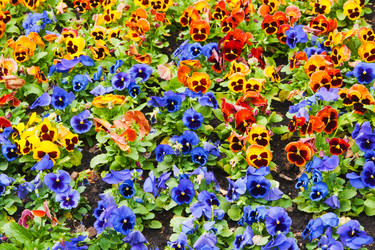 Similar image 1657522