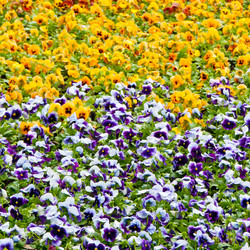 Similar image 1657526