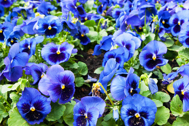 Similar image 1657528