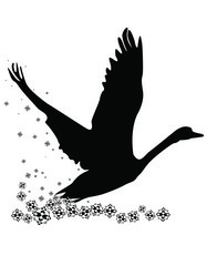 Similar image 1657539