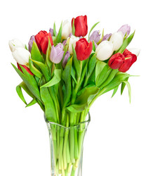 Similar image 1657541