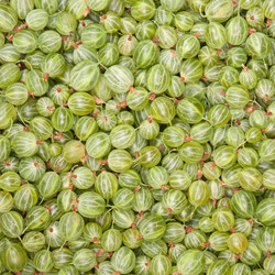 Similar image 1657542