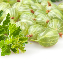 Similar image 1657543