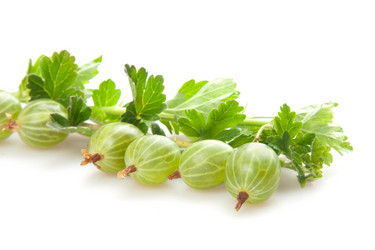 Similar image 1657545