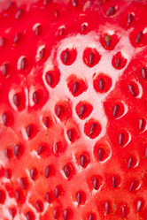 Similar image 1657553