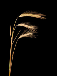 Similar image 1657554