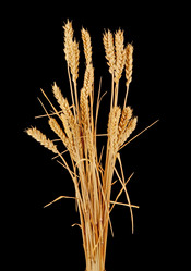 Similar image 1657555