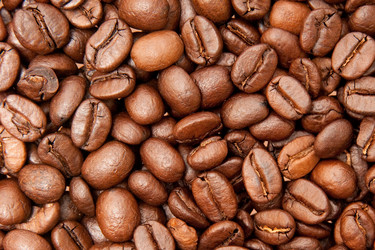 Similar image 1657558