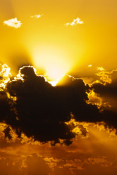 Similar image 1657559