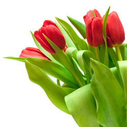 Similar image 1657562