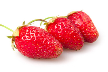 Similar image 1657563