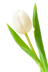 Similar image 1657566