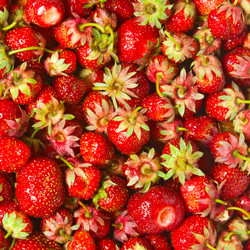 Similar image 1657567