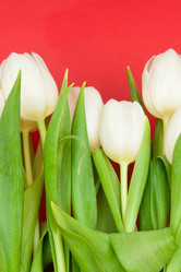 Similar image 1657568