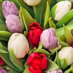 Similar image 1657573