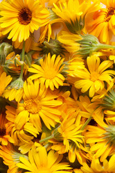 Similar image 1657578