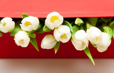 Similar image 1657580