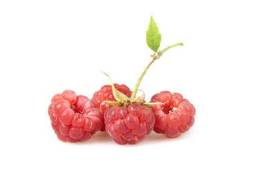 Similar image 1657581