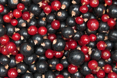 Similar image 1657583