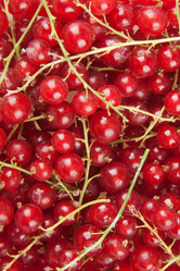 Similar image 1657584