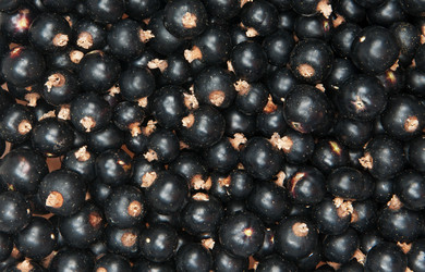 Similar image 1657585