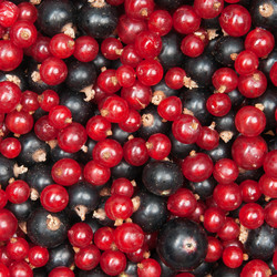 Similar image 1657586