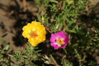 Similar image 1657587