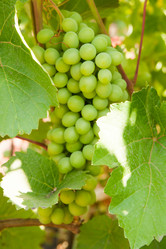 Similar image 1657588