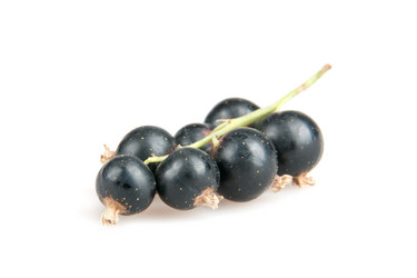 Similar image 1657590