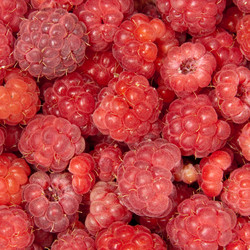 Similar image 1657592