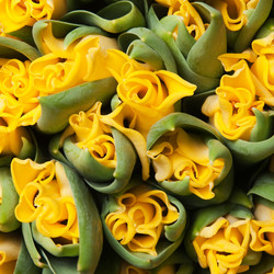 Similar image 1657597