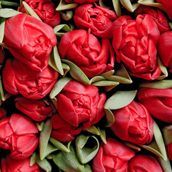 Similar image 1657598