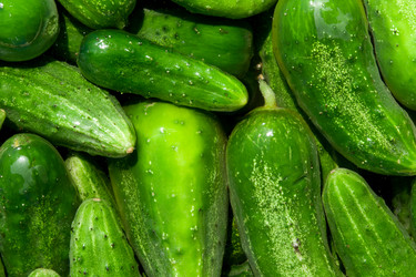 Similar image 1657608