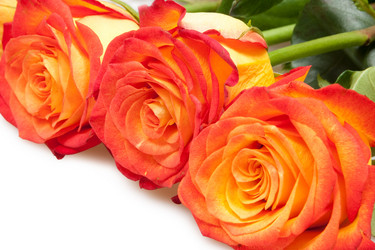 Similar image 1657612