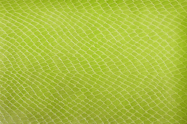 Similar image 1657615